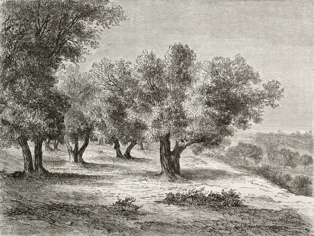 Papier peint - Pontremoli