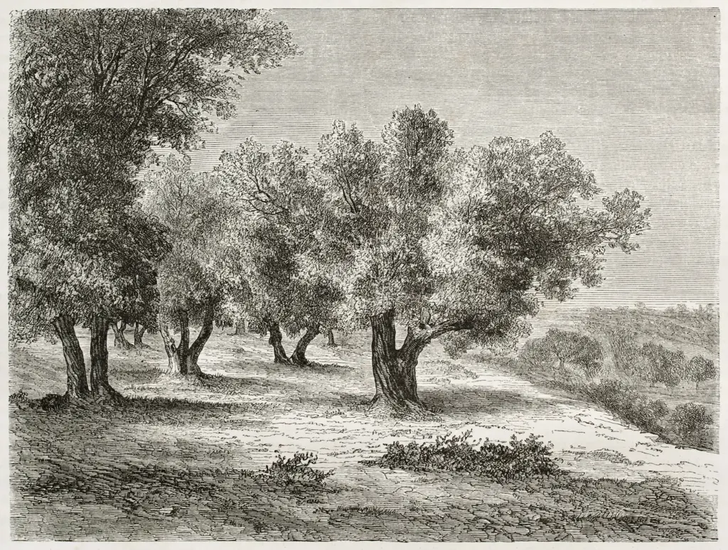 Papier peint - Pontremoli