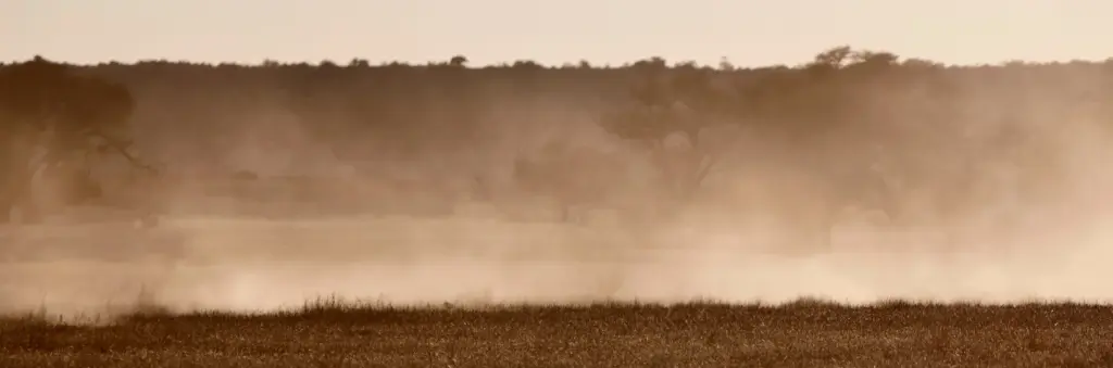 Papier peint - Serengeti