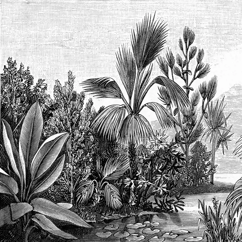 Papier peint - Talamanca