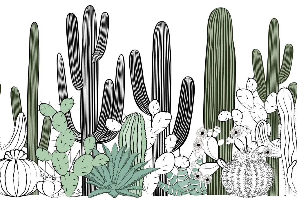 Papier peint - CACTUS