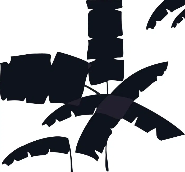 Papier peint – Palm – 2 tailles standards – 2 couleurs – disponible sur mesure panoramique Lou Garu