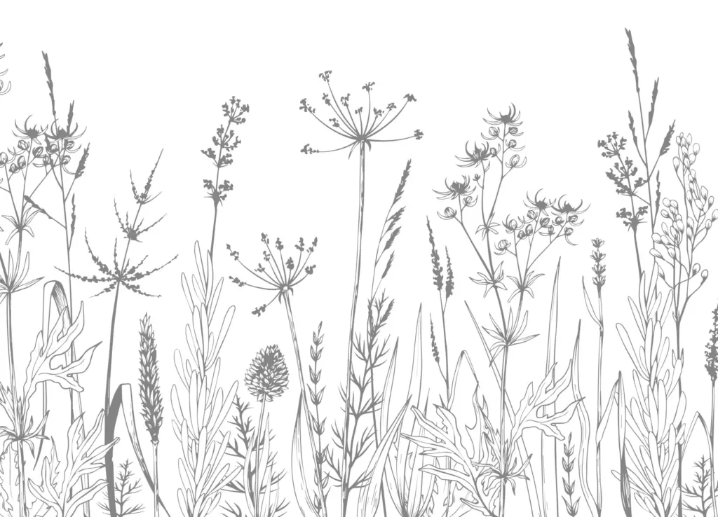 Papier peint - Garden