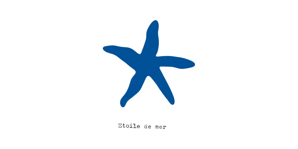 Papier peint - Etoile de mer
